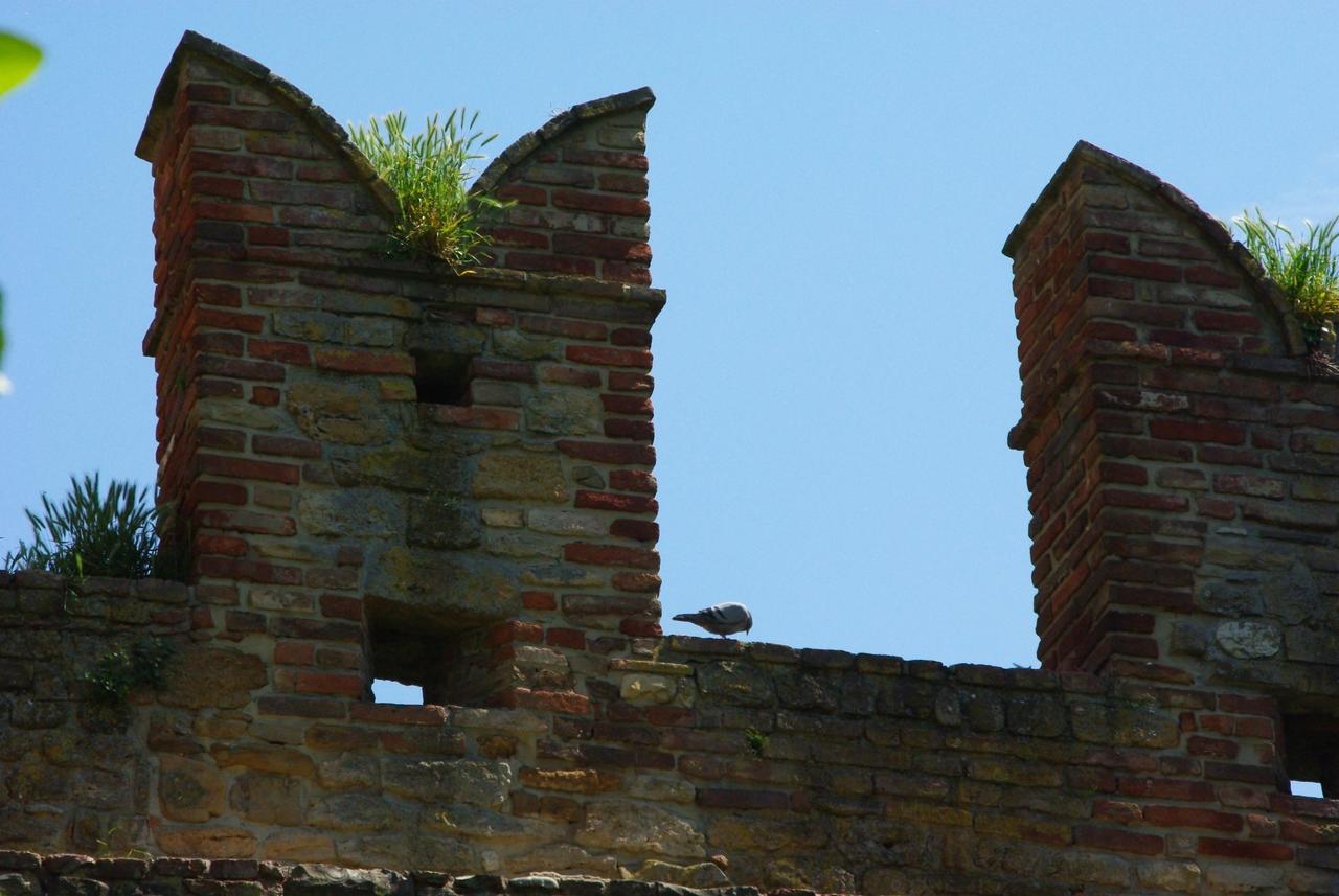 Villa Dircea Castell'Arquato Ngoại thất bức ảnh